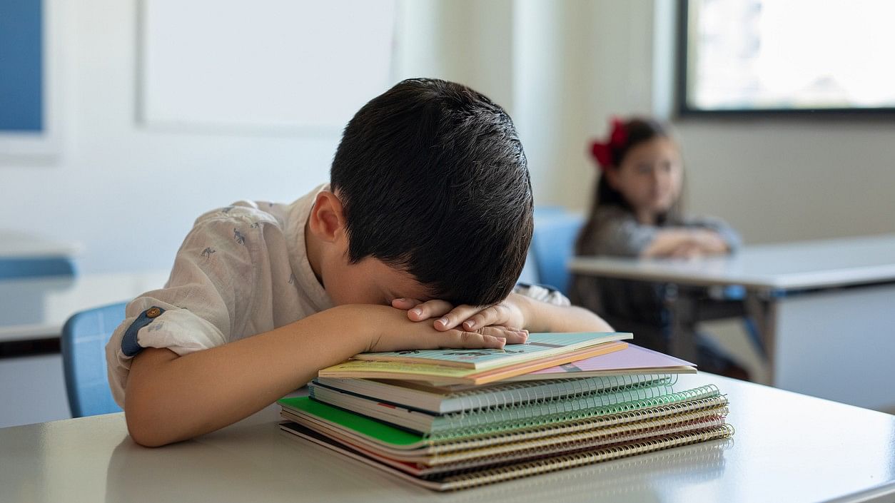 <div class="paragraphs"><p>Representative image showing a school student.</p></div>