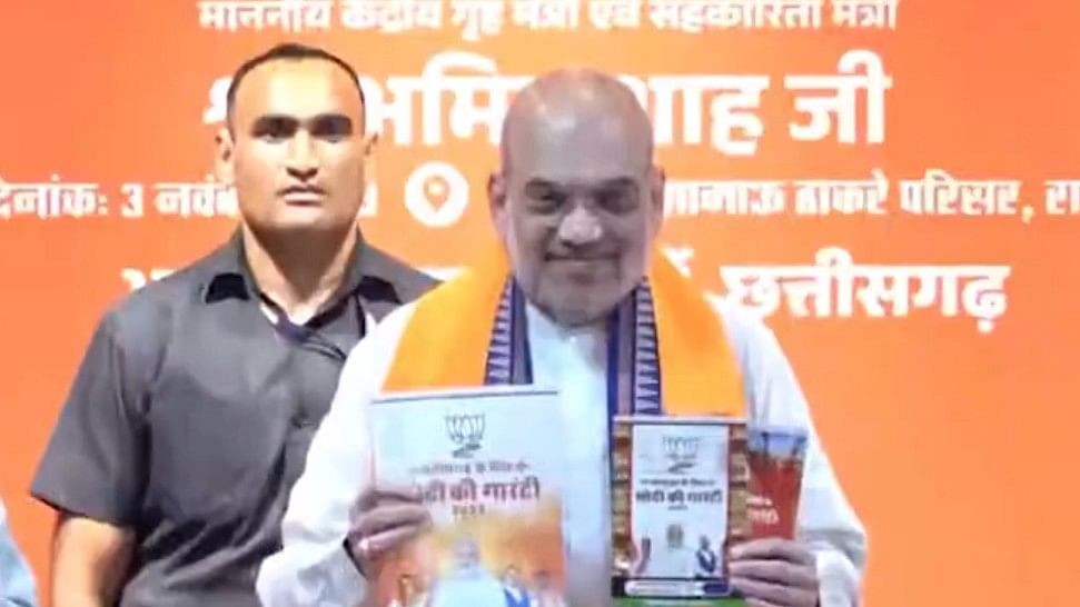 <div class="paragraphs"><p>Screengrab from video of Amit Shah's manifesto declaration. </p></div>