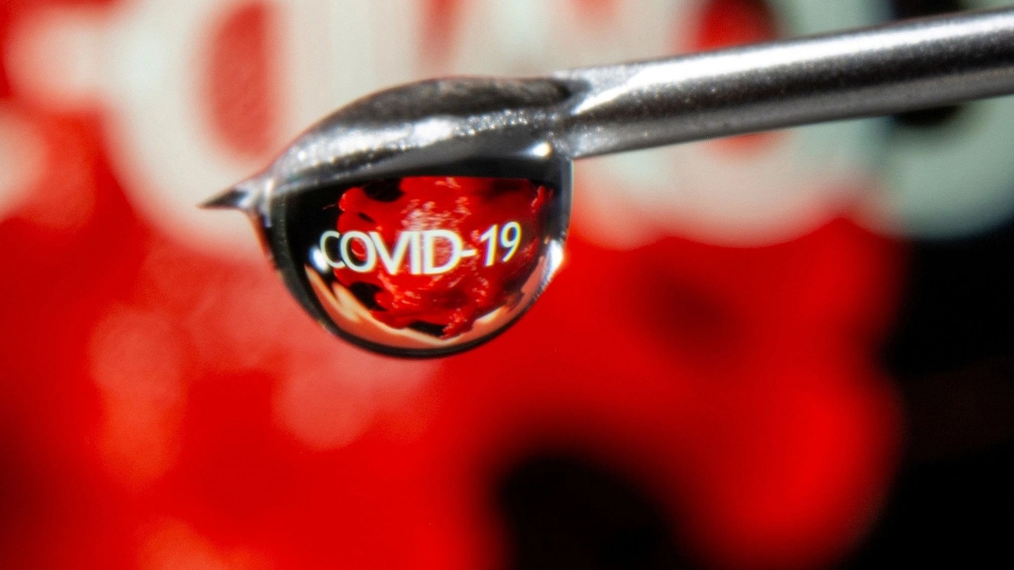 <div class="paragraphs"><p>The word "COVID-19" is reflected in a drop on a syringe needle.</p></div>