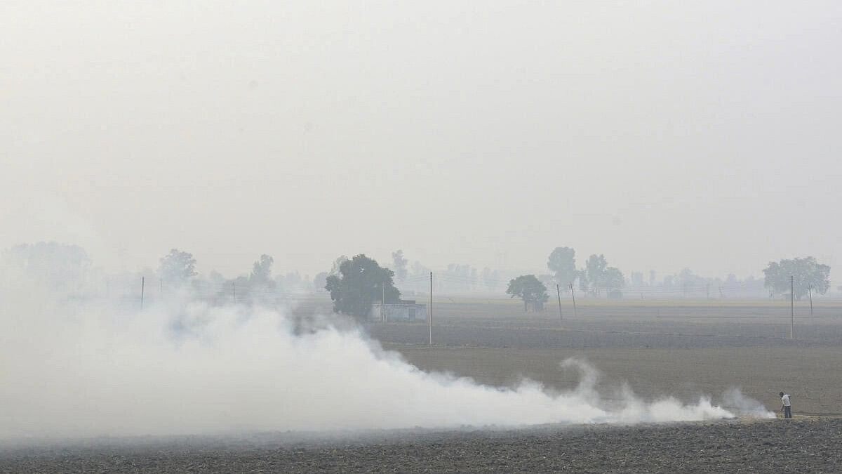 <div class="paragraphs"><p>Farmers burn paddy stubble (parali) at a village in Kapurthala</p></div>