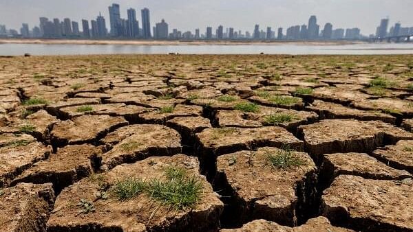 <div class="paragraphs"><p>Representative image showing drought, attributed to climate change.</p></div>