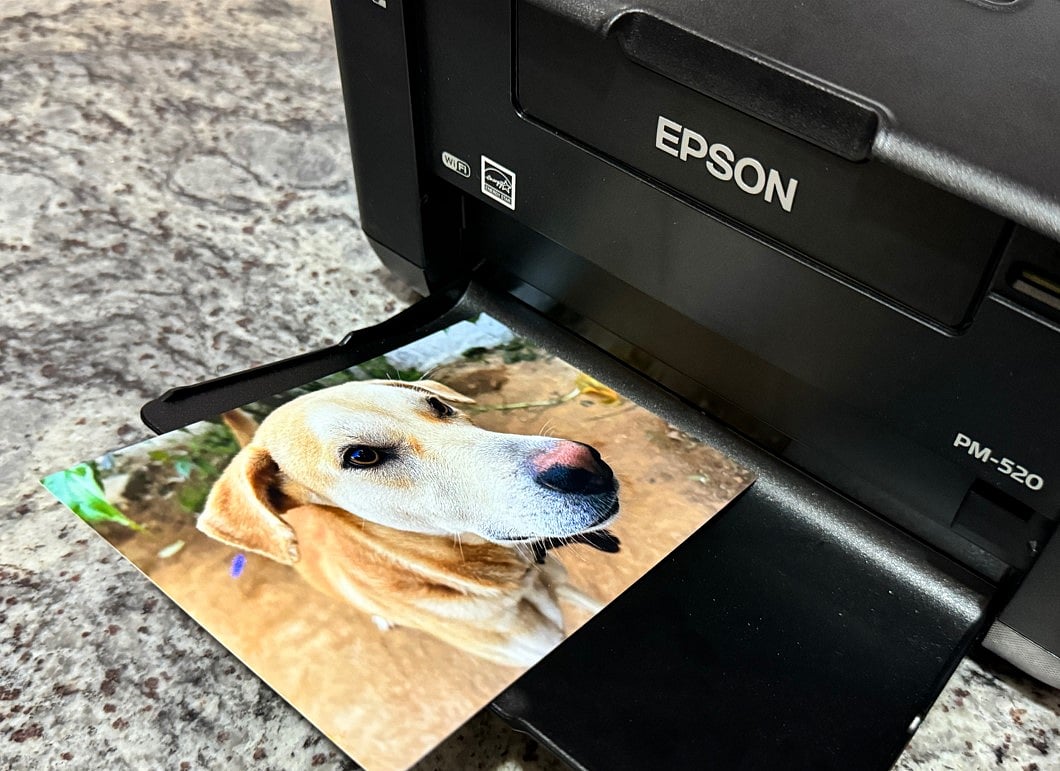 Epson Picture Mate PM520 review Musthave smart gadget for home
