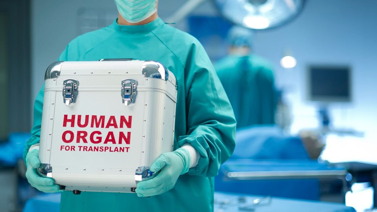 <div class="paragraphs"><p>Organ donation is allowed only within families and among close relatives.</p></div>
