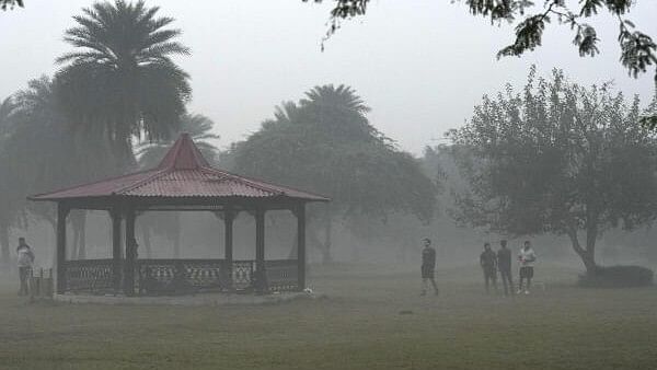 <div class="paragraphs"><p>Morning joggers at a park amid smog, in New Delhi.</p></div>