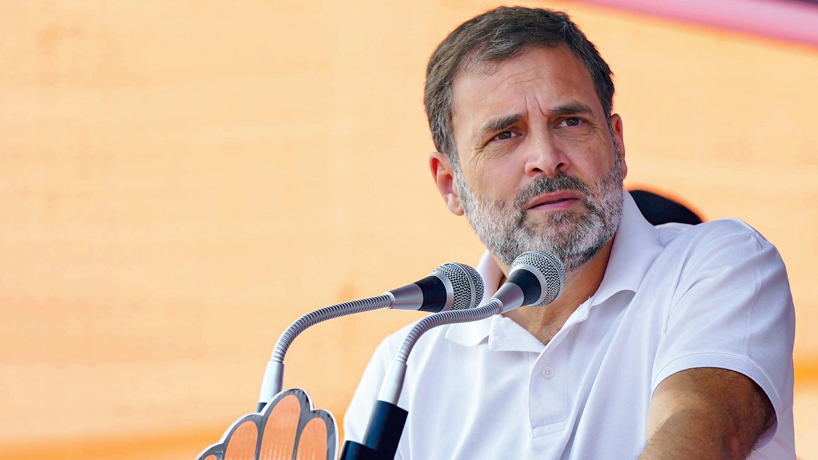 <div class="paragraphs"><p>Congress leader Rahul Gandhi speaks during a public meeting ahead of Rajasthan Assembly elections.&nbsp;</p></div>