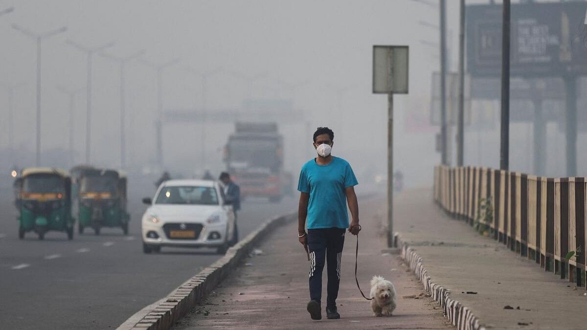 <div class="paragraphs"><p>A man wearing face mask walks with his dog on a footpath amidst the morning smog in New Delhi.</p></div>