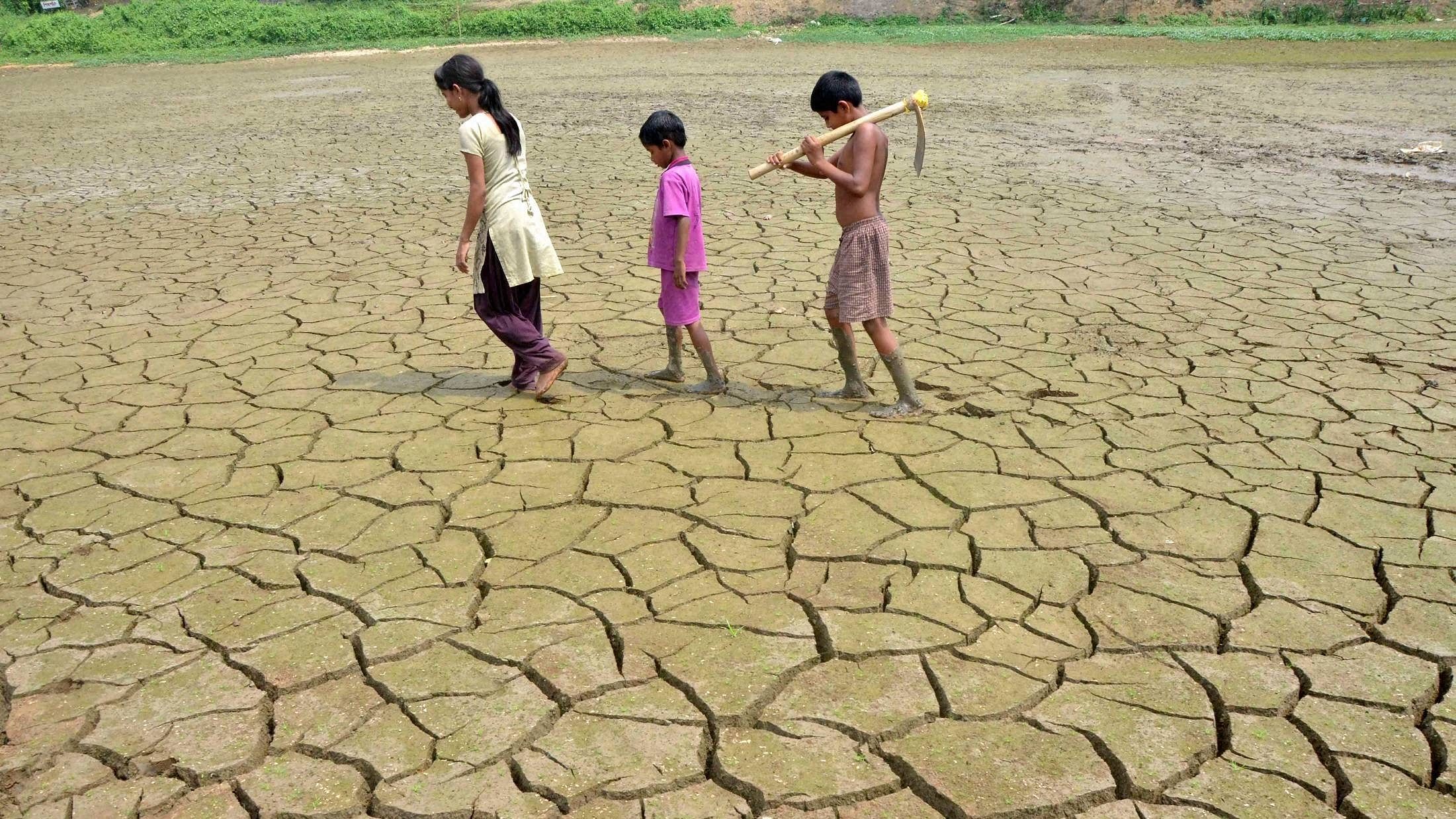 <div class="paragraphs"><p>File Photo: Heatwaves alone could lead to 524.9 million additional people experiencing moderate-to-severe food insecurity by 2041-60, aggravating the global risk of malnutrition, latest Lancet report said. </p></div>
