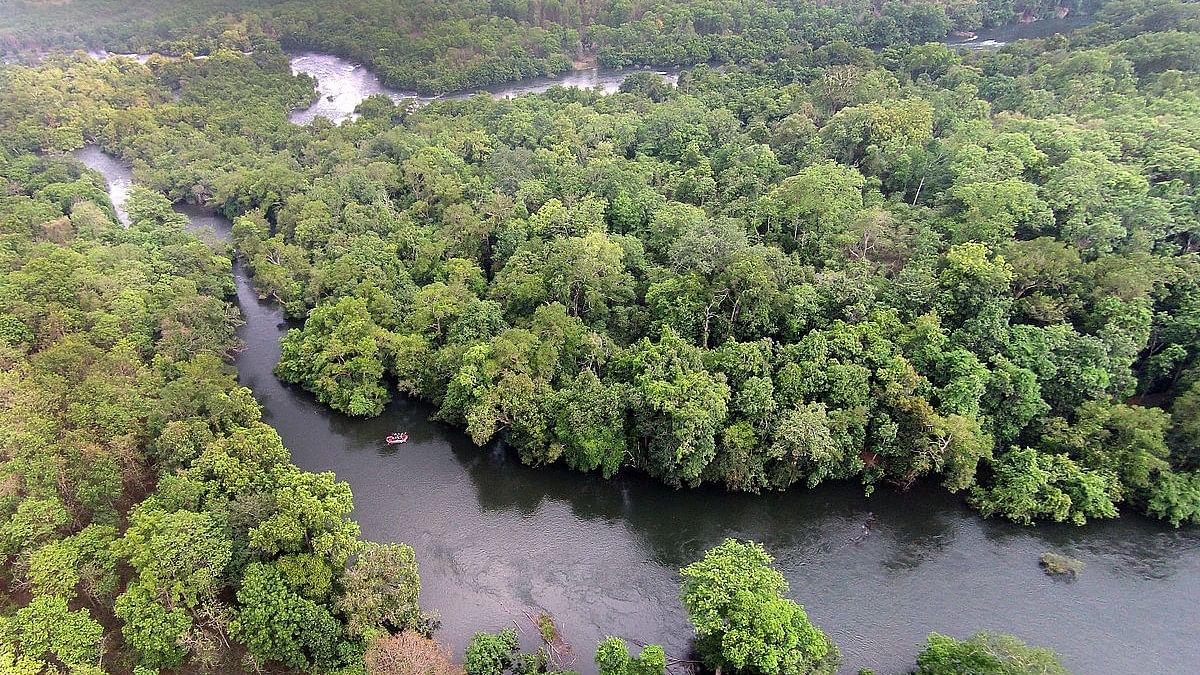 A picturesque view of Castle Rock nature camp near Dandeli in Uttara Kannada district.