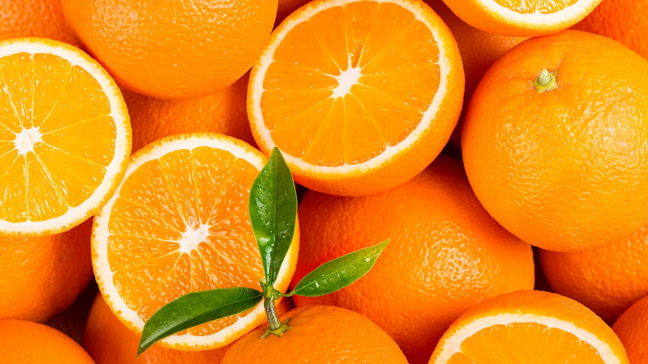 <div class="paragraphs"><p>Representational image for Malda oranges.</p></div>