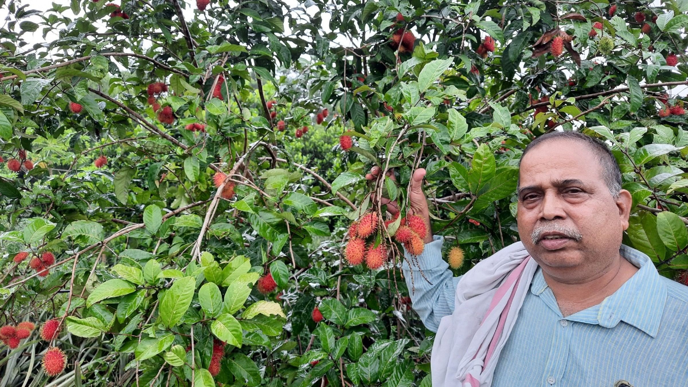 <div class="paragraphs"><p>Ramesh Nayak with Rambutan tree on his farm at Kedur&nbsp;in Udupi district. <br></p></div>