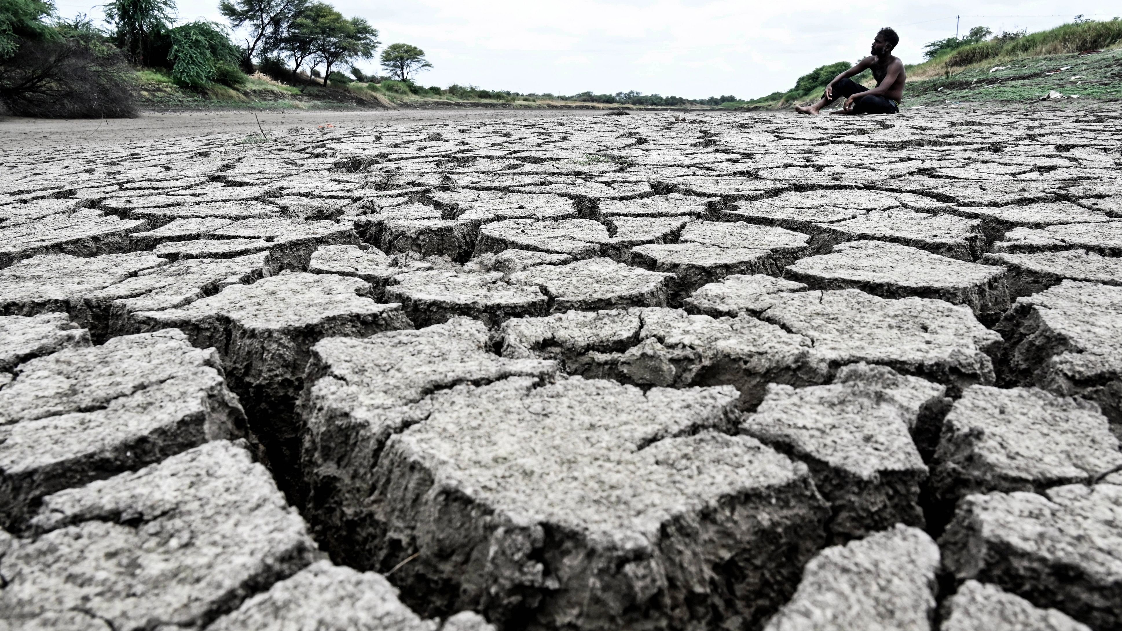 <div class="paragraphs"><p>Almost all of Karnataka is reeling under drought. The government has declared 223 out of 236 taluks as drought-hit. </p></div>