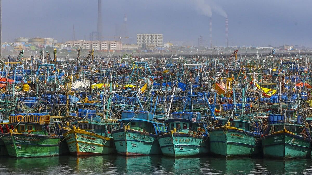 <div class="paragraphs"><p>Fishing boats docked at Kasimedu fishing harbour following the heavy rainfall forecast owing to Cyclone Michaung in the Bay of Bengal, in Chennai.</p></div>