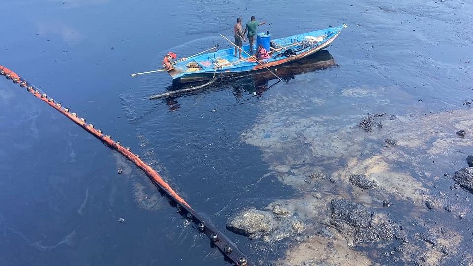 <div class="paragraphs"><p>A photo showing the oil spill in the Ennore Creek area.</p></div>