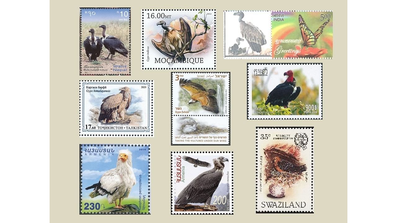 <div class="paragraphs"><p><br>Stamps with Vulture photographs</p></div>