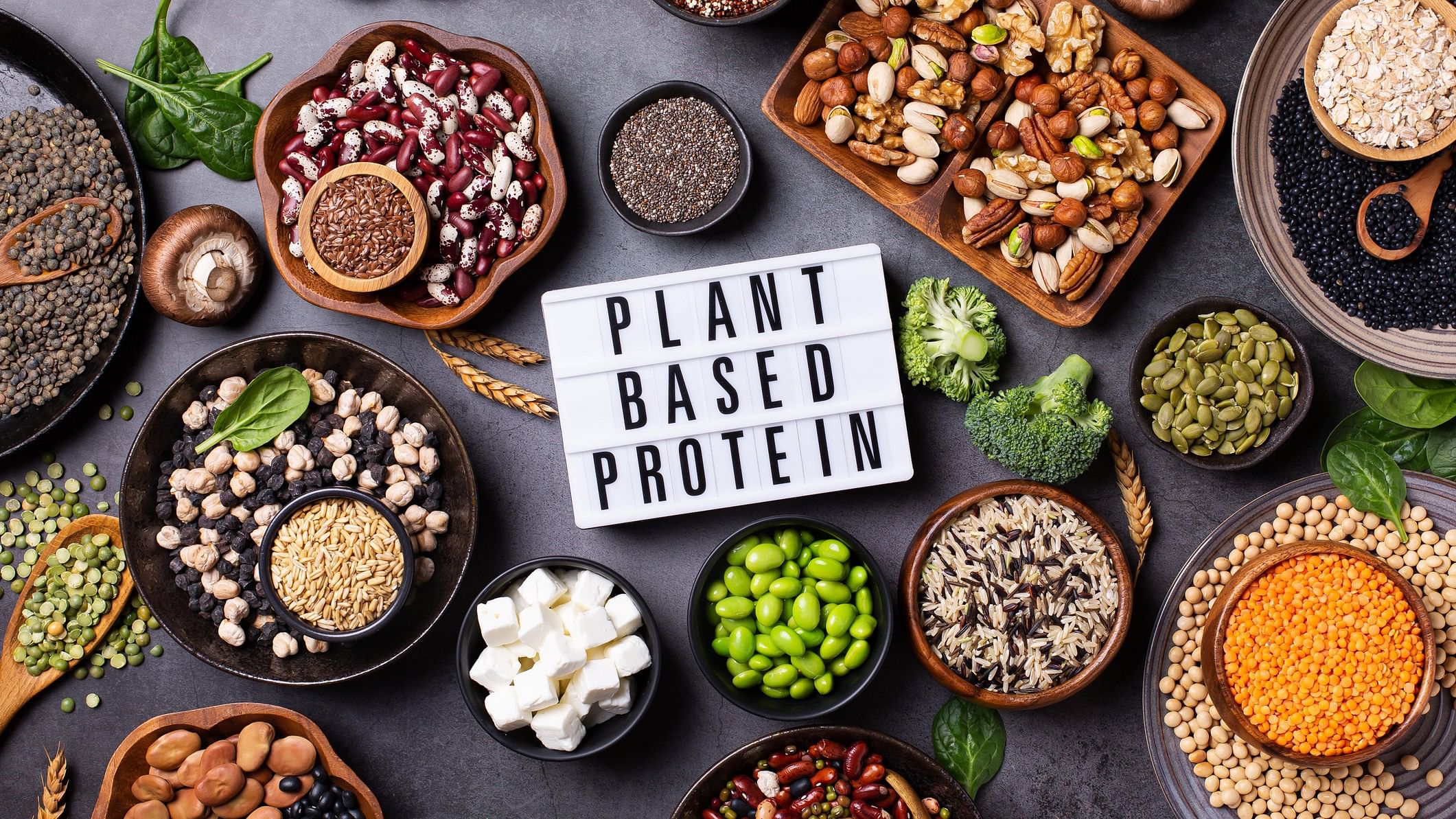 <div class="paragraphs"><p>Representative image showing foods containing plant-based protein.</p></div>