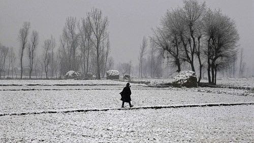 <div class="paragraphs"><p>Gulmarg  experienced the coldest night of the season at minus 8 degree Celsius. </p></div>