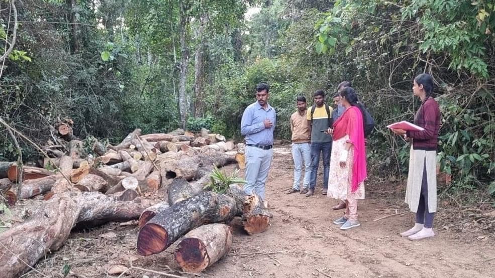 <div class="paragraphs"><p>Tahsildar Mamatha inspects the felled trees, during her visit to Nandagodanahalli, in Belur taluk, Hassan district, on December 17. </p></div>