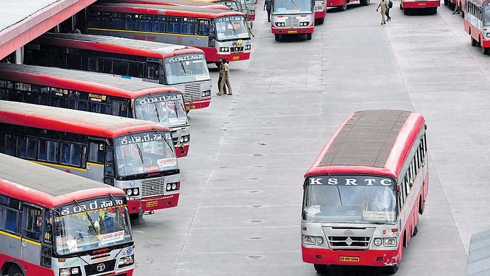 <div class="paragraphs"><p>File image of KSRTC buses.</p></div>