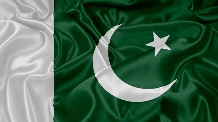 <div class="paragraphs"><p>Pakistan flag.</p></div>