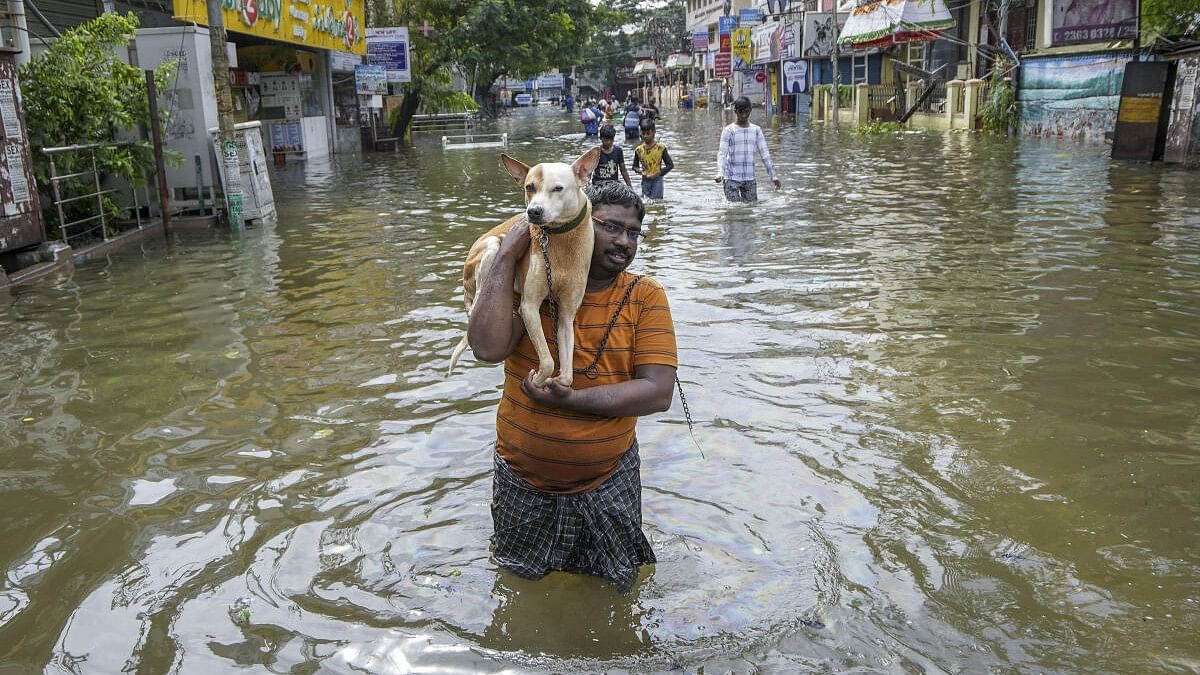 <div class="paragraphs"><p>People wade through a flooded road after heavy rainfall owing to Cyclone Michaung, in Chennai, Tuesday, Dec. 5, 2023.</p></div>