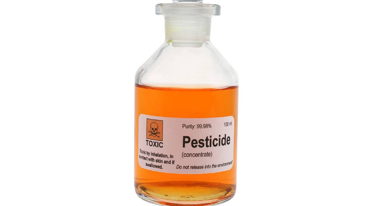 <div class="paragraphs"><p>Representative image of a pesticide bottle.</p></div>