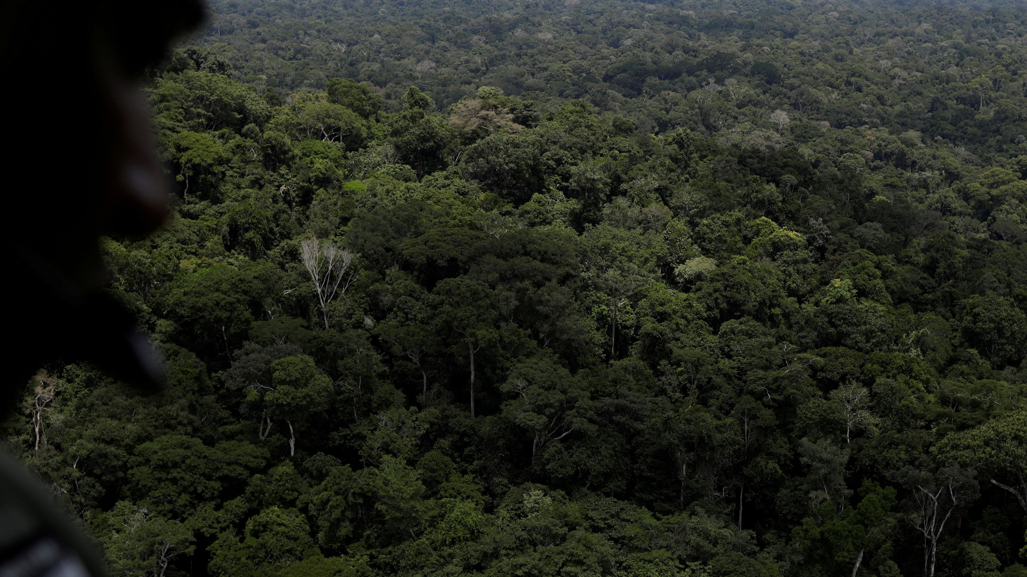 <div class="paragraphs"><p>A view of the&nbsp;Amazon rainforest.&nbsp;</p></div>