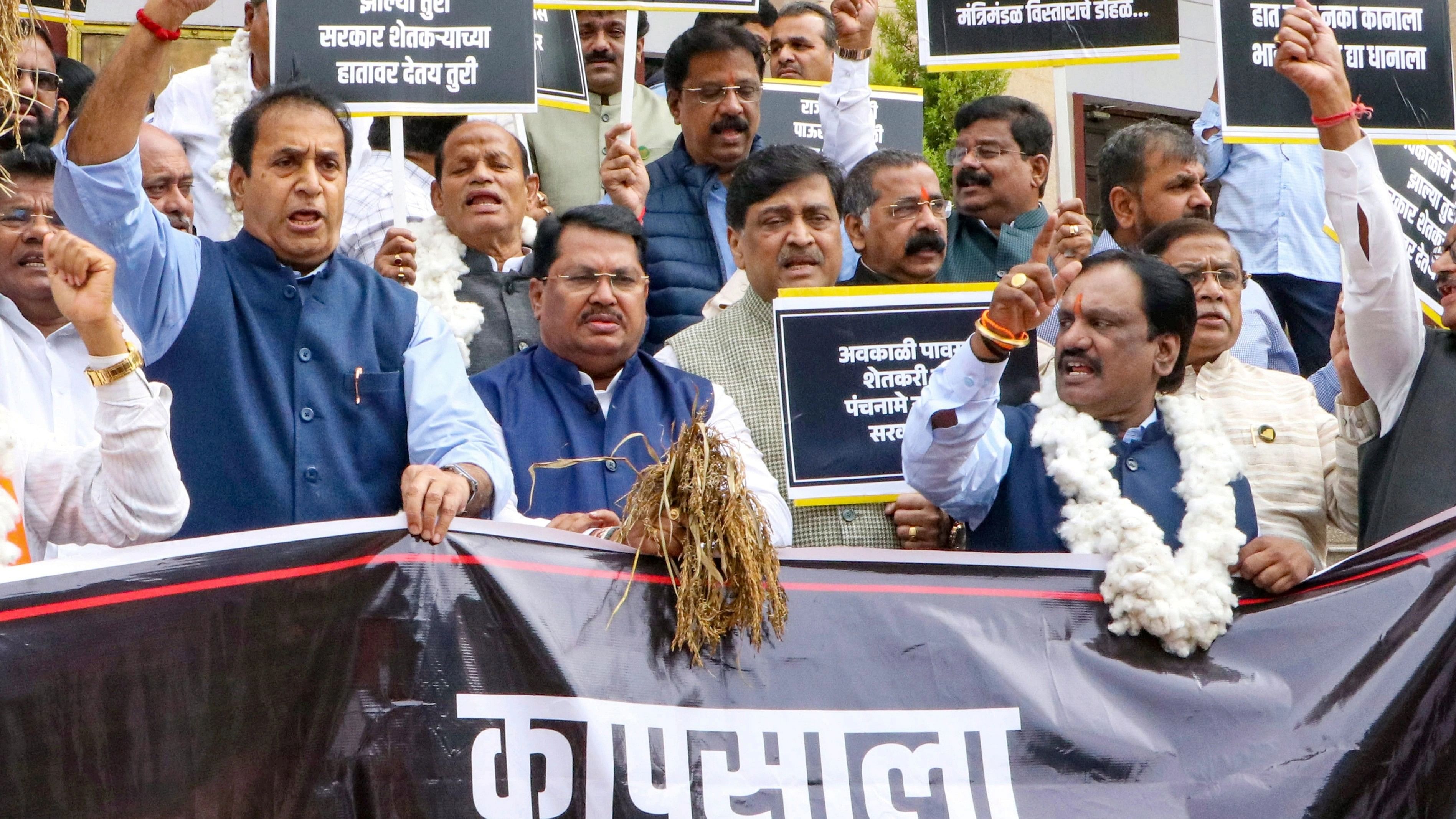 <div class="paragraphs"><p>Opposition MLAs protests against Maharashtra government on issues faced by farmers and its demands for higher MSP for cotton, better prices for onions and farm loan waiver during the Winter Session of Maharashtra state Assembly at Vidhan Bhavan, in Nagpur.</p></div>