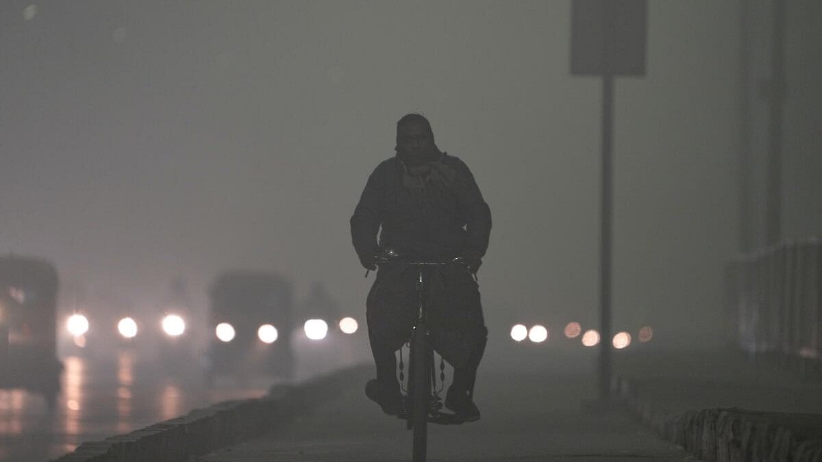 <div class="paragraphs"><p>A man pedals bicycle on footbath as vehicles ply on a road amid dense fog in New Delhi.</p></div>
