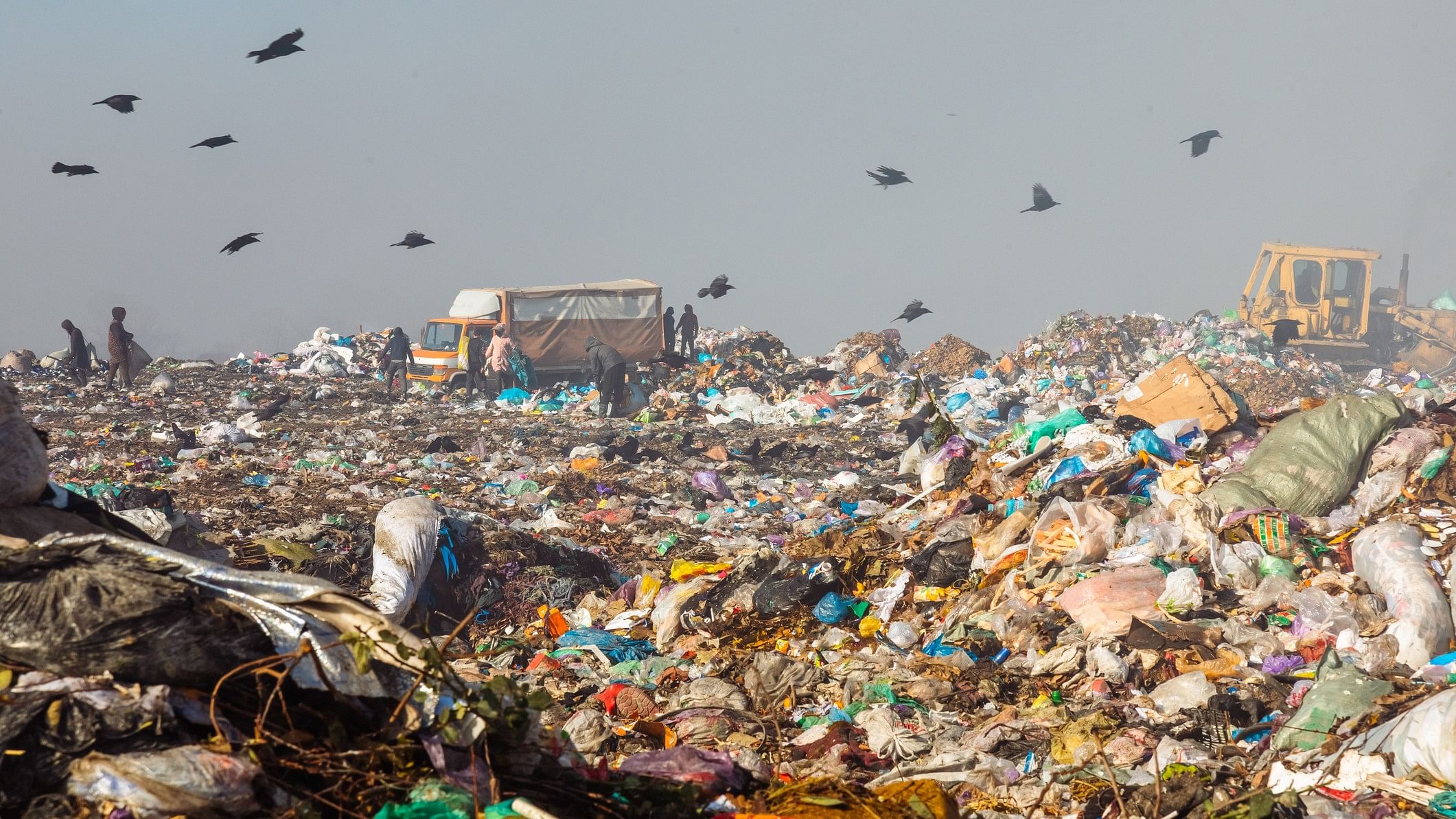 <div class="paragraphs"><p>Representative image showing waste in India.</p></div>