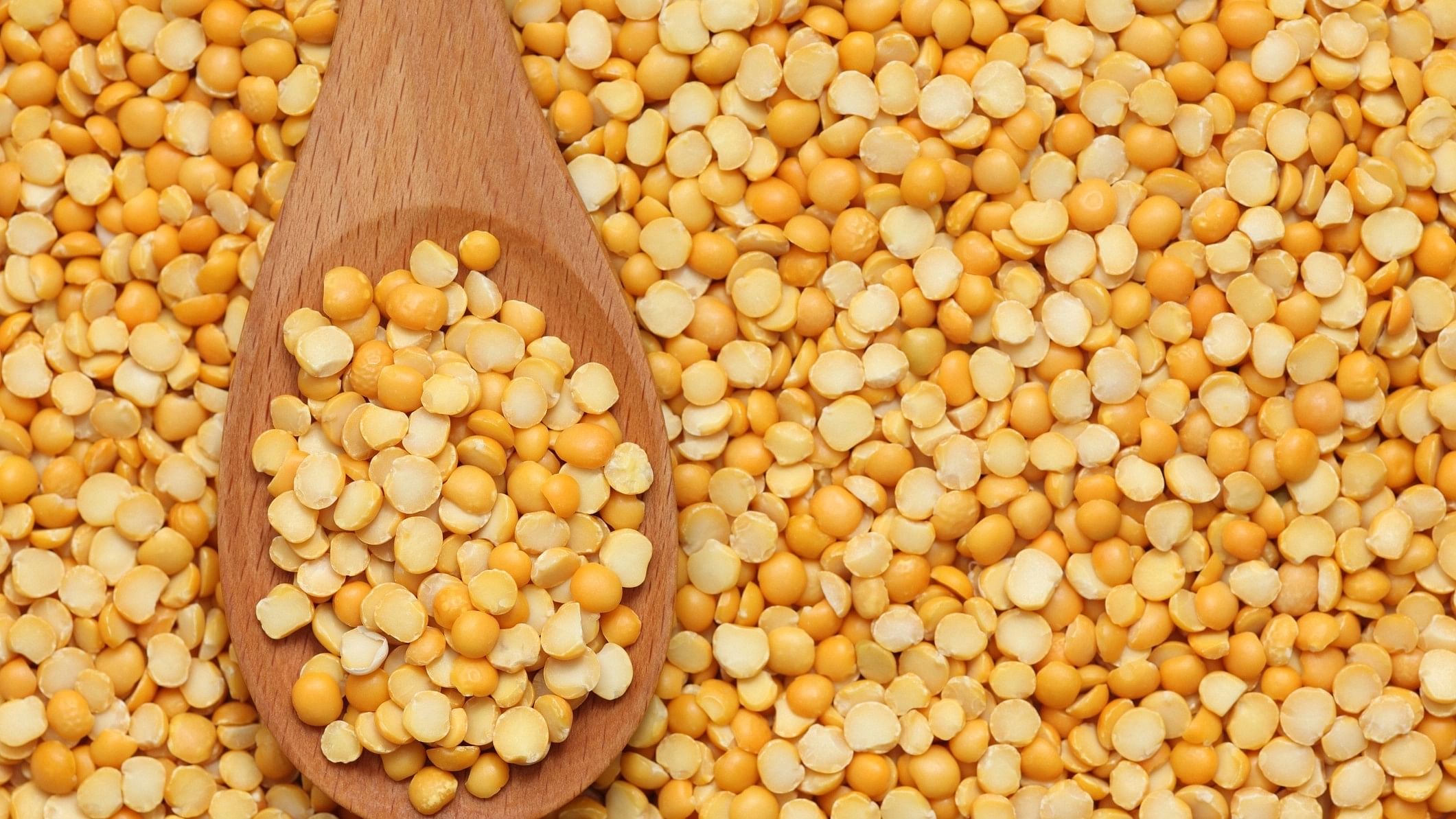 <div class="paragraphs"><p>Representative image of split yellow peas.</p></div>