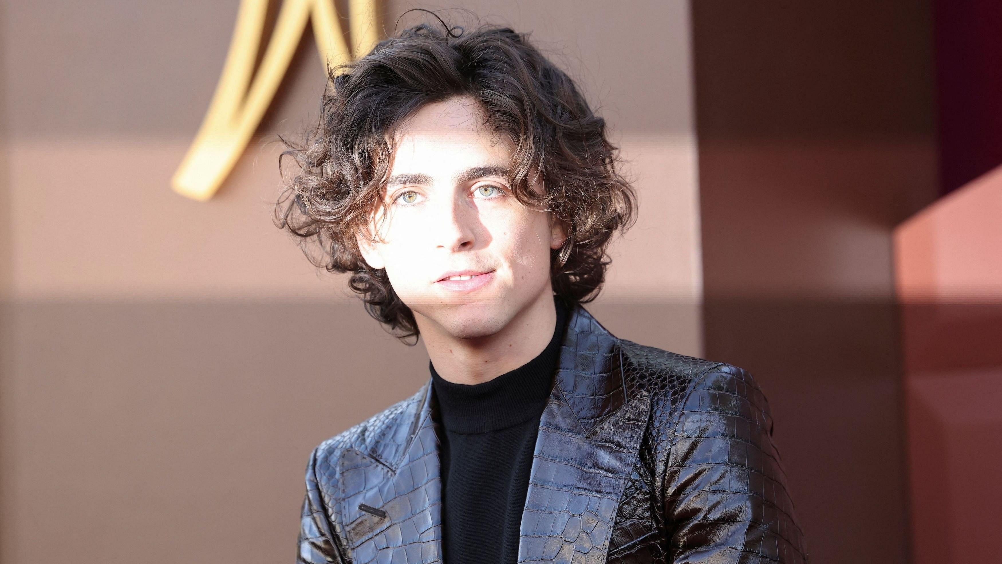 <div class="paragraphs"><p>Timothee Chalamet.</p></div>