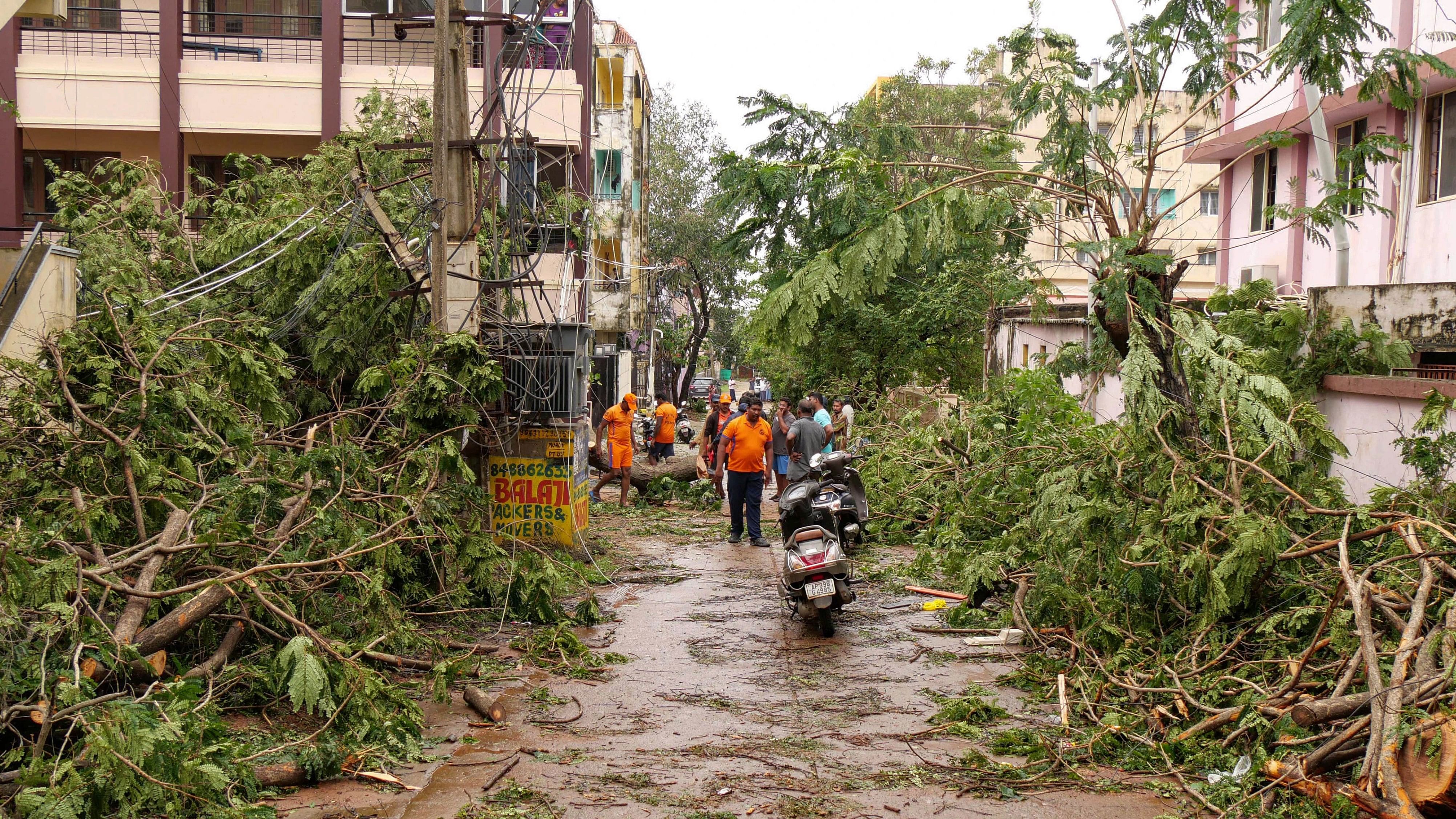 <div class="paragraphs"><p>NDRF personnel clear uprooted trees from a street following the landfall of Cyclone Michaung, in Nellore, Andhra Pradesh.</p></div>