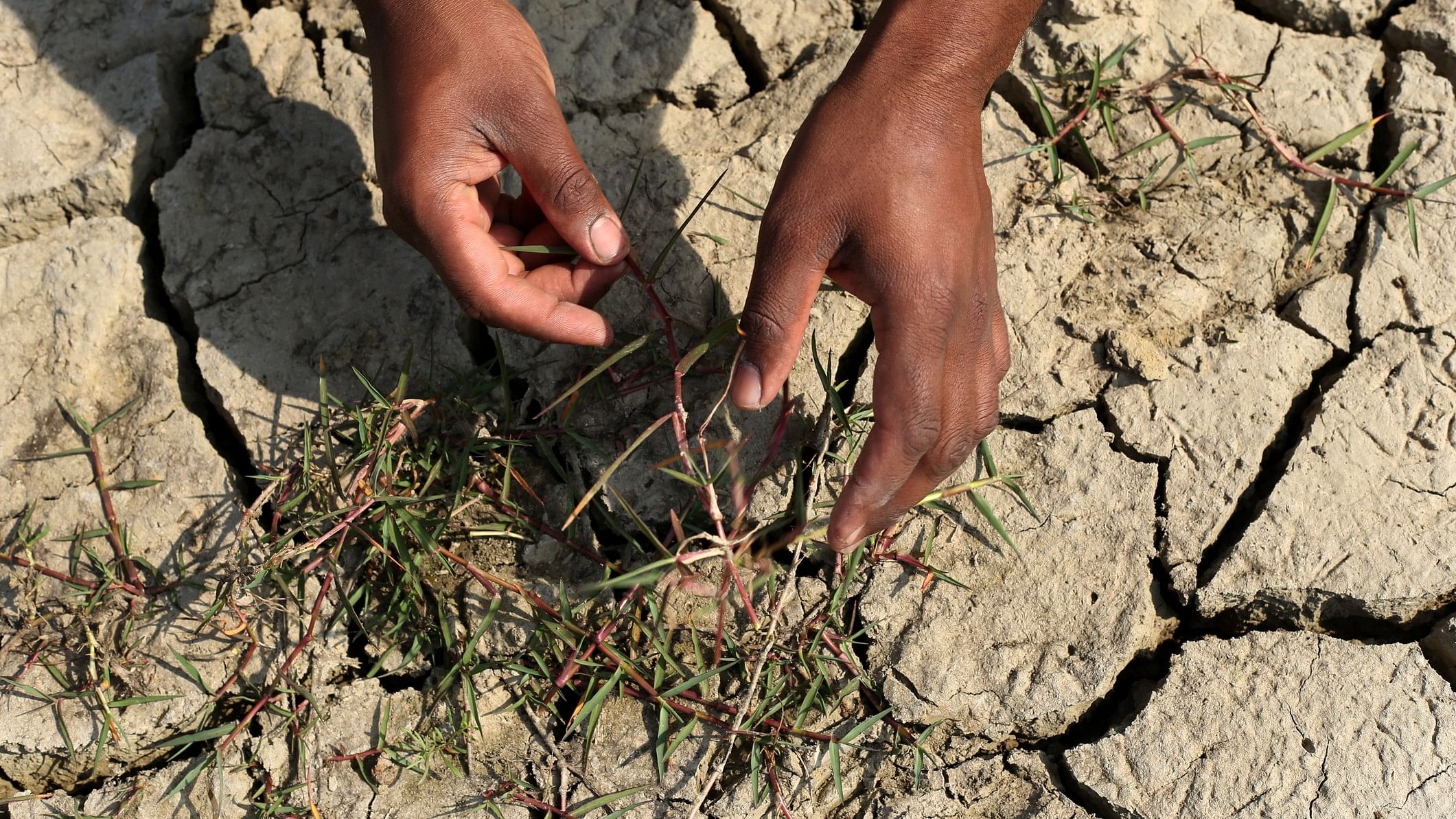 <div class="paragraphs"><p>Representative image showing drought.</p></div>