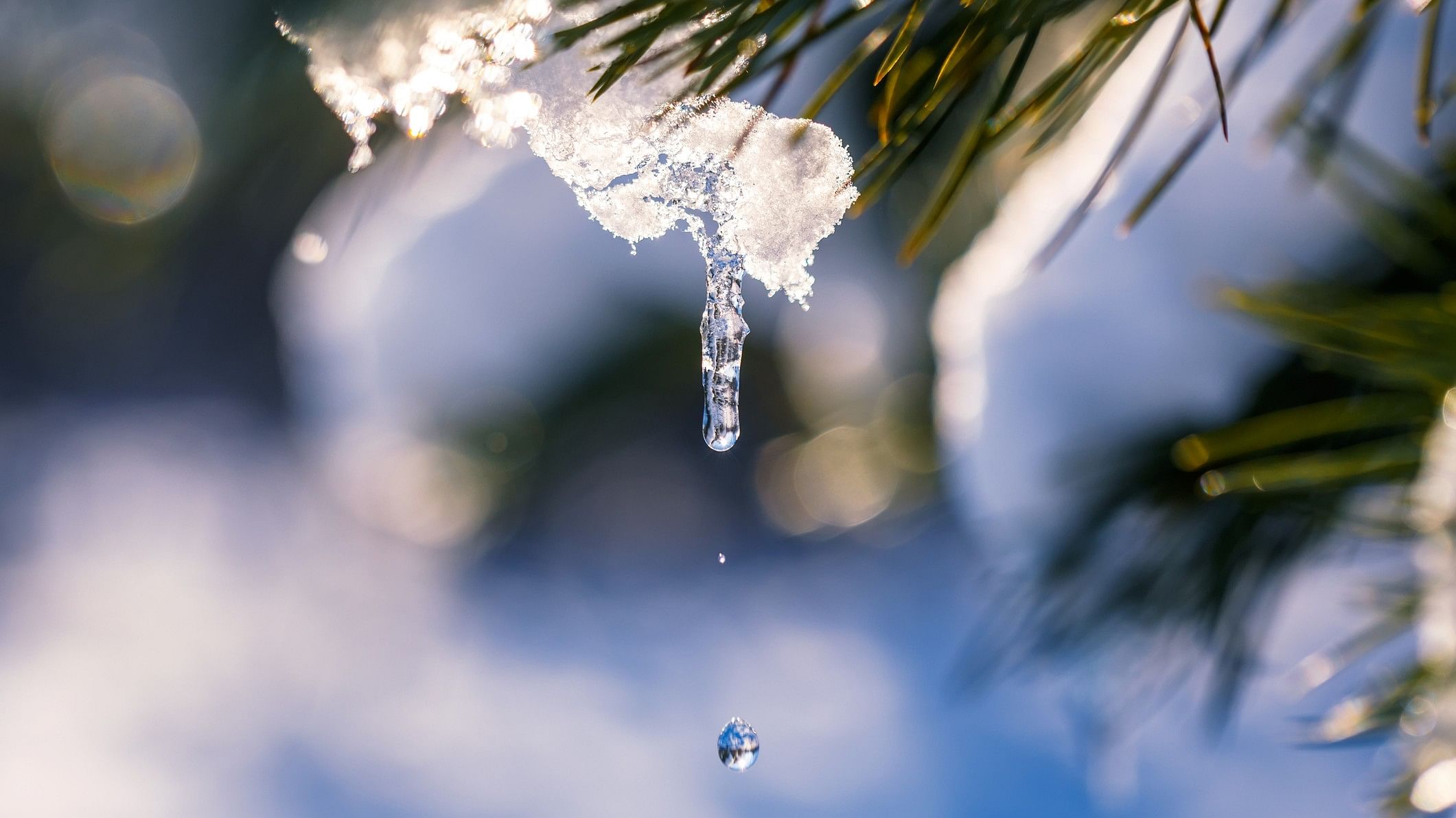 <div class="paragraphs"><p>Representative image of melting snow.</p></div>