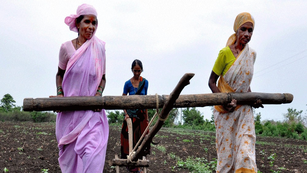 <div class="paragraphs"><p>Women farmers tilling the land. </p></div>