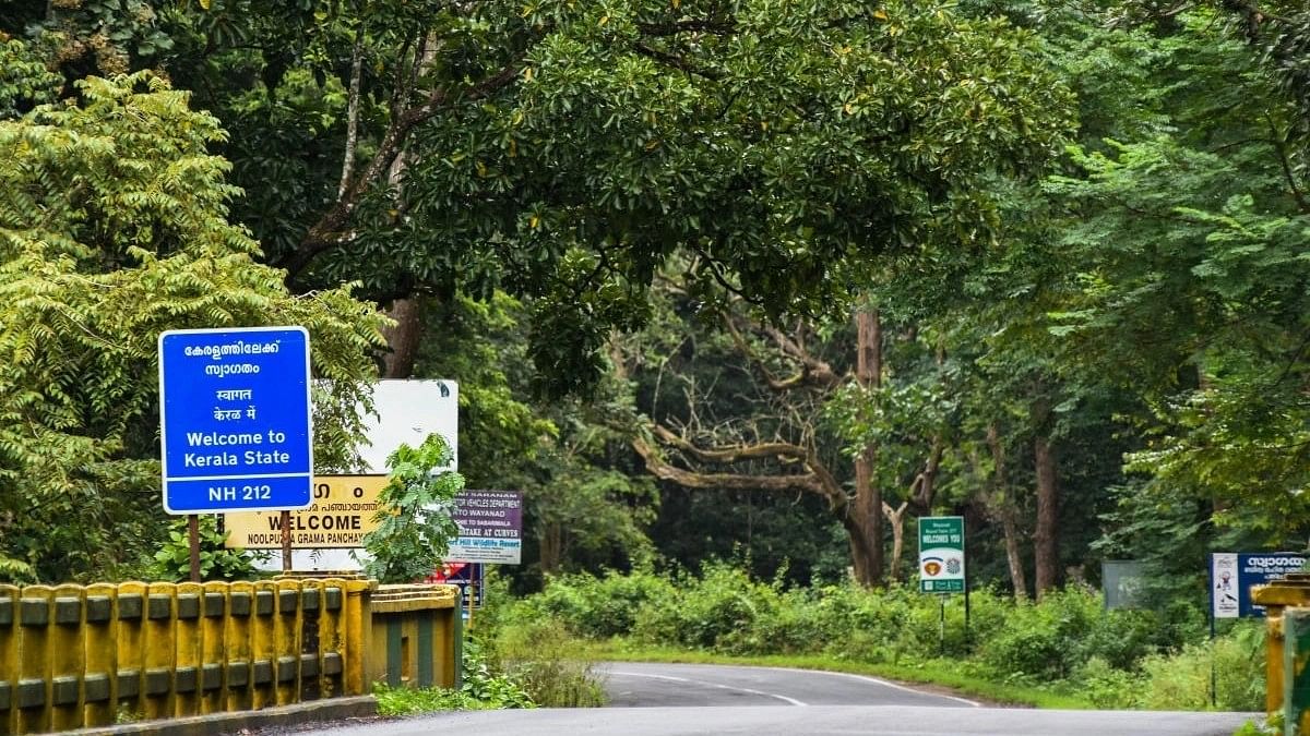 <div class="paragraphs"><p>Representative image showing the Kerala-Karnataka border inside Bandipur Tiger Reserve Forest on Mysuru-Calicut National Highway. </p></div>