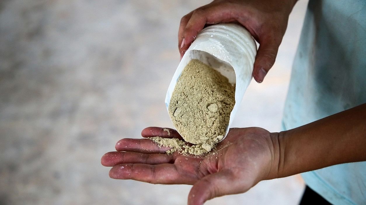 <div class="paragraphs"><p>Representative image showing rice bran fertilizer.</p></div>