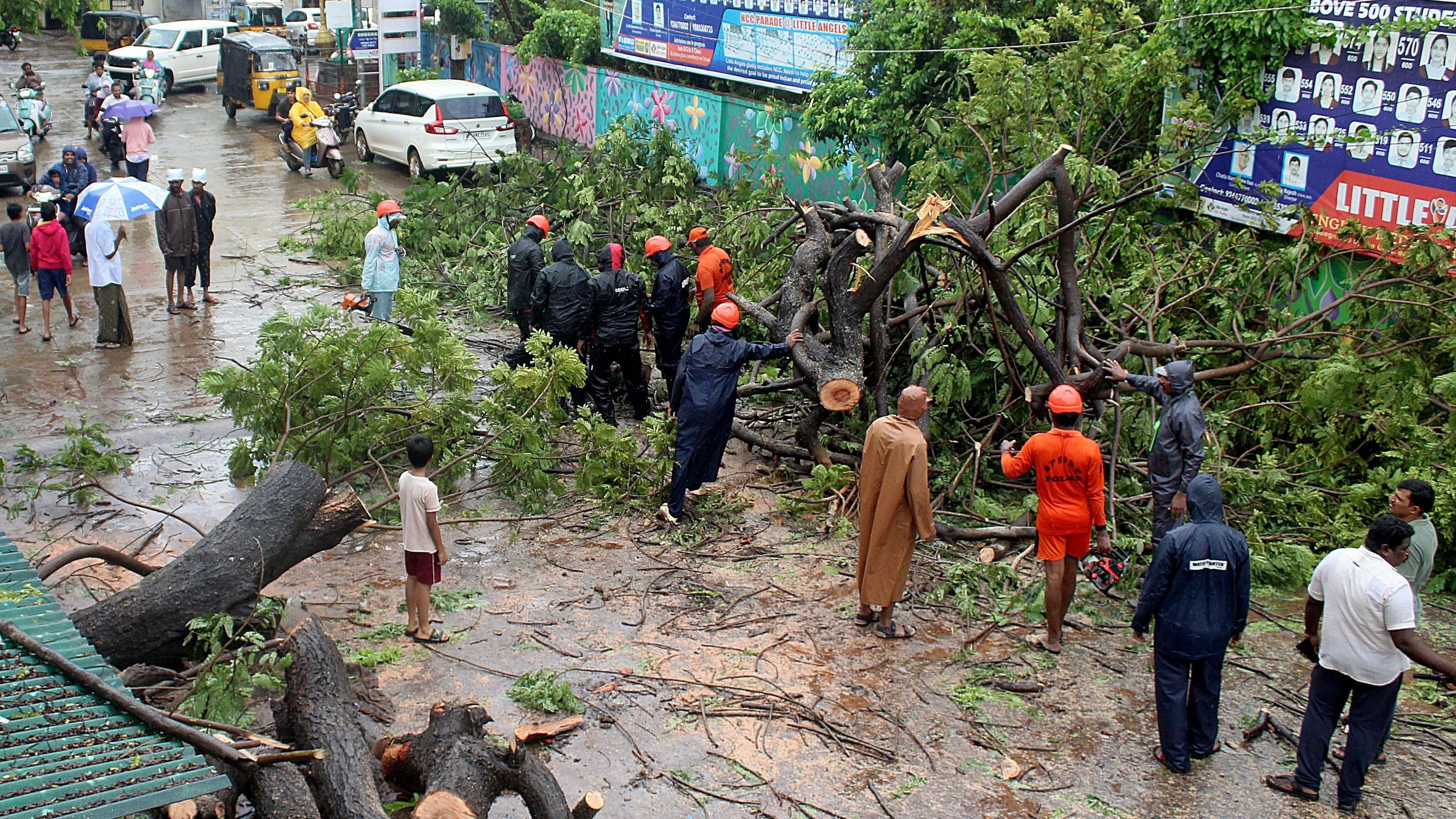 <div class="paragraphs"><p>Members of Andhra Pradesh State Disaster Response Force  cut the branches off a fallen tree after Cyclone Michaung made landfall, in Nellore district, in the southern state of Andhra Pradesh, India, December 5, 2023. </p></div>