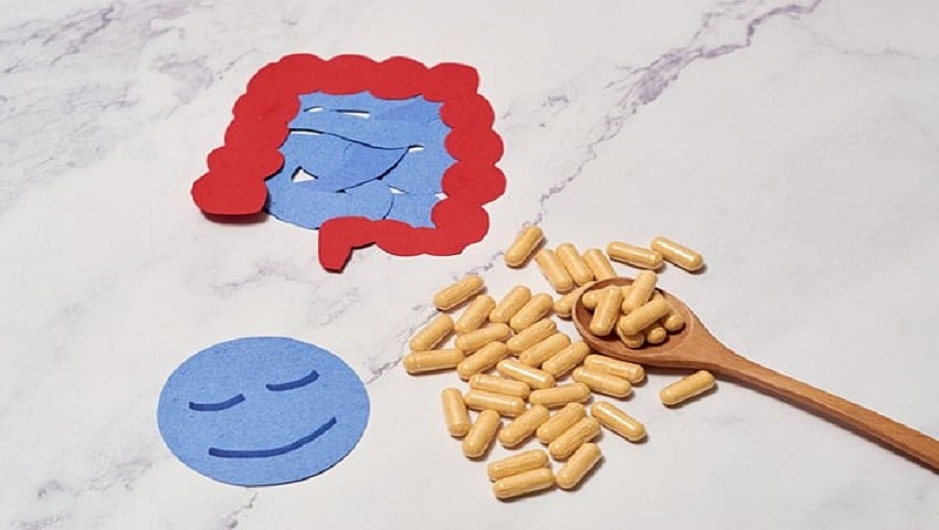 Best Probiotic For IBS 2024 Top Brands Reviewed