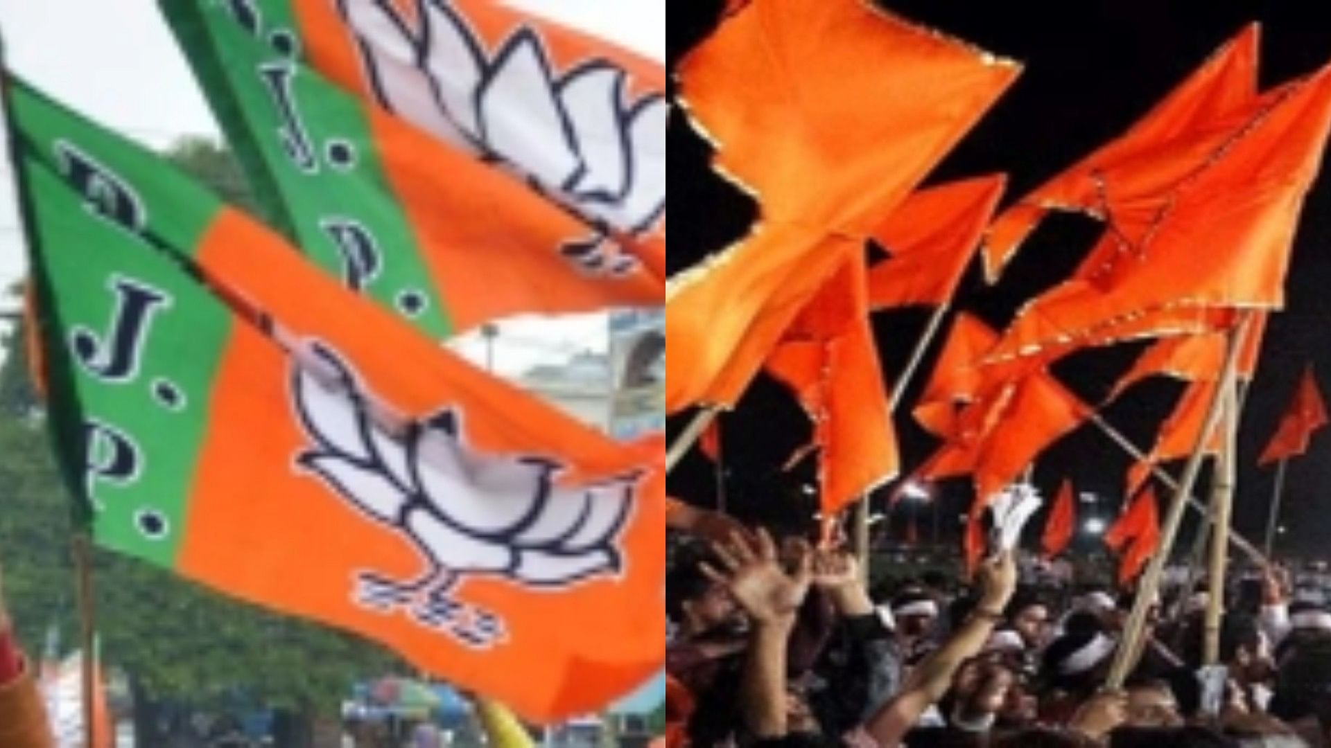 <div class="paragraphs"><p>Flags of BJP and Shiv Sena.</p></div>