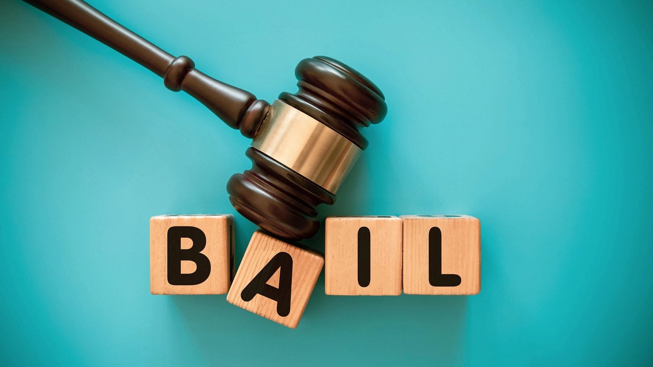 <div class="paragraphs"><p>Representative image of a bail.</p></div>