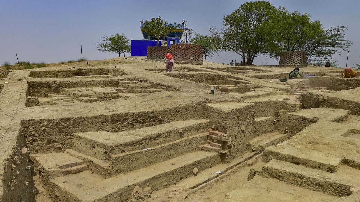 <div class="paragraphs"><p>Representative image of Rakhigarhi excavation site</p></div>