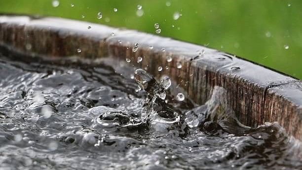 <div class="paragraphs"><p>Representative image of falling rain in a barrel.</p></div>