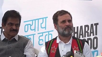 <div class="paragraphs"><p>Congress' Rahul Gandhi.</p></div>