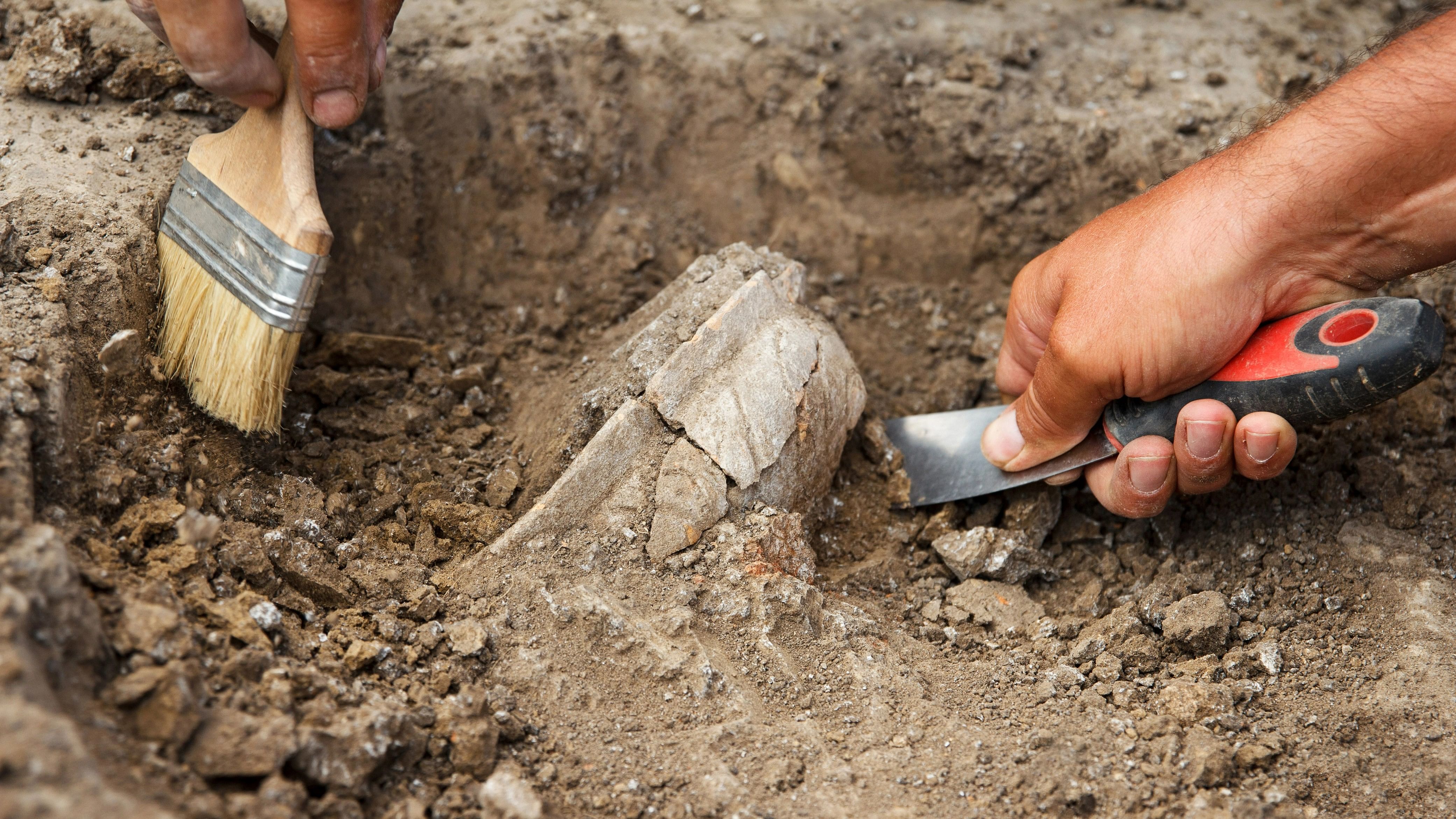 <div class="paragraphs"><p>Representative image showing an archaeologist at work</p></div>