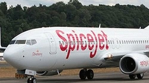 <div class="paragraphs"><p>Spice Jet flight. For representation.</p></div>