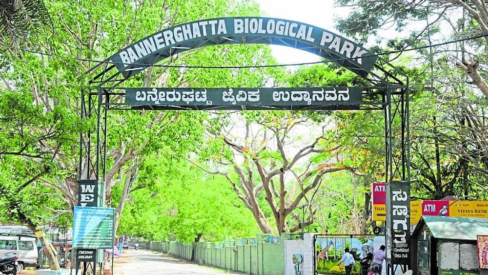 <div class="paragraphs"><p>Bannerghatta Biological Park </p></div>