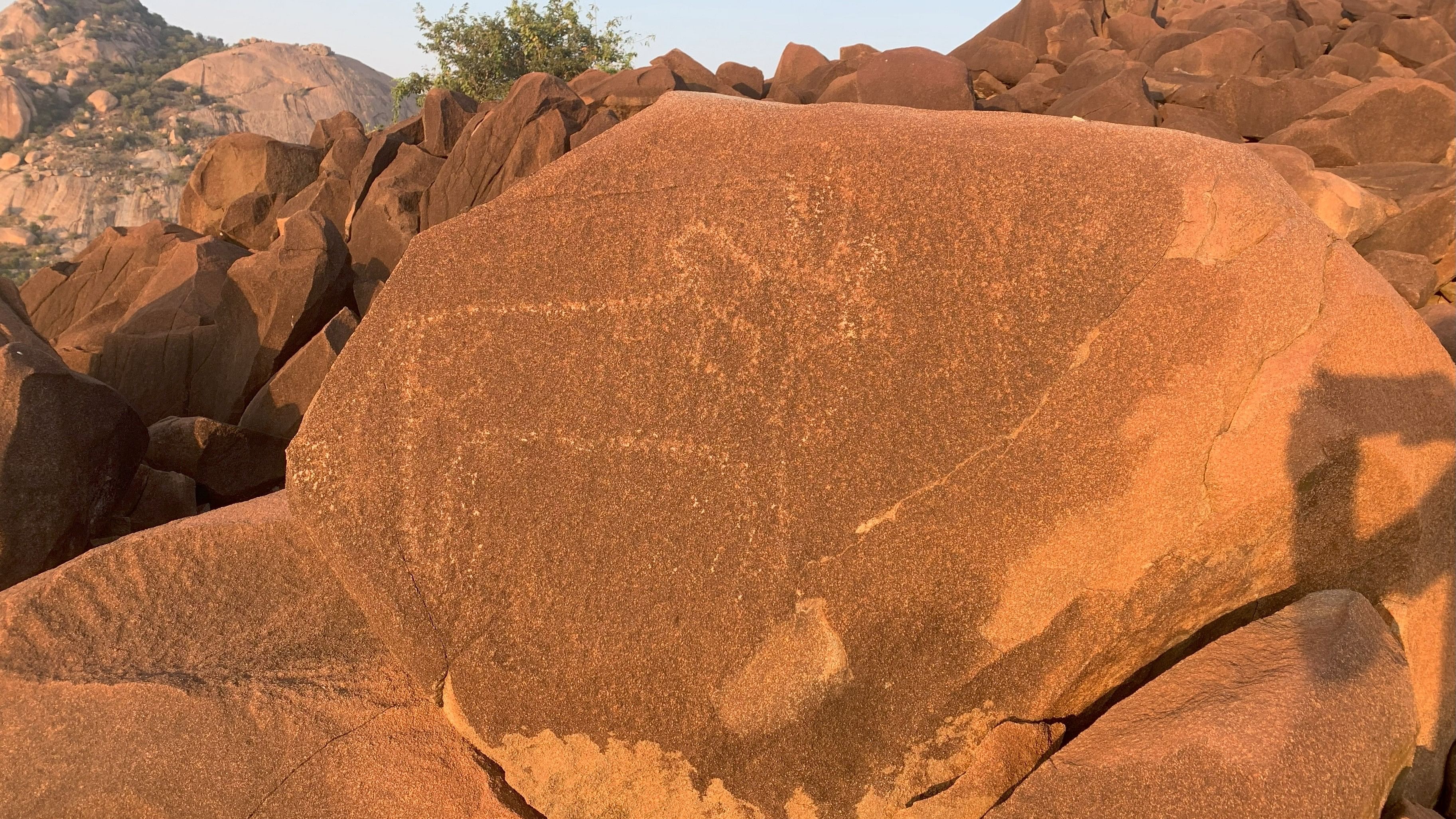 <div class="paragraphs"><p>Inscriptions on the&nbsp;Dolerite dyke formations in Pavagada; (top) an inscription depicting a wild cat; (above) Pulikonda hill, Pavagada.&nbsp;</p></div>