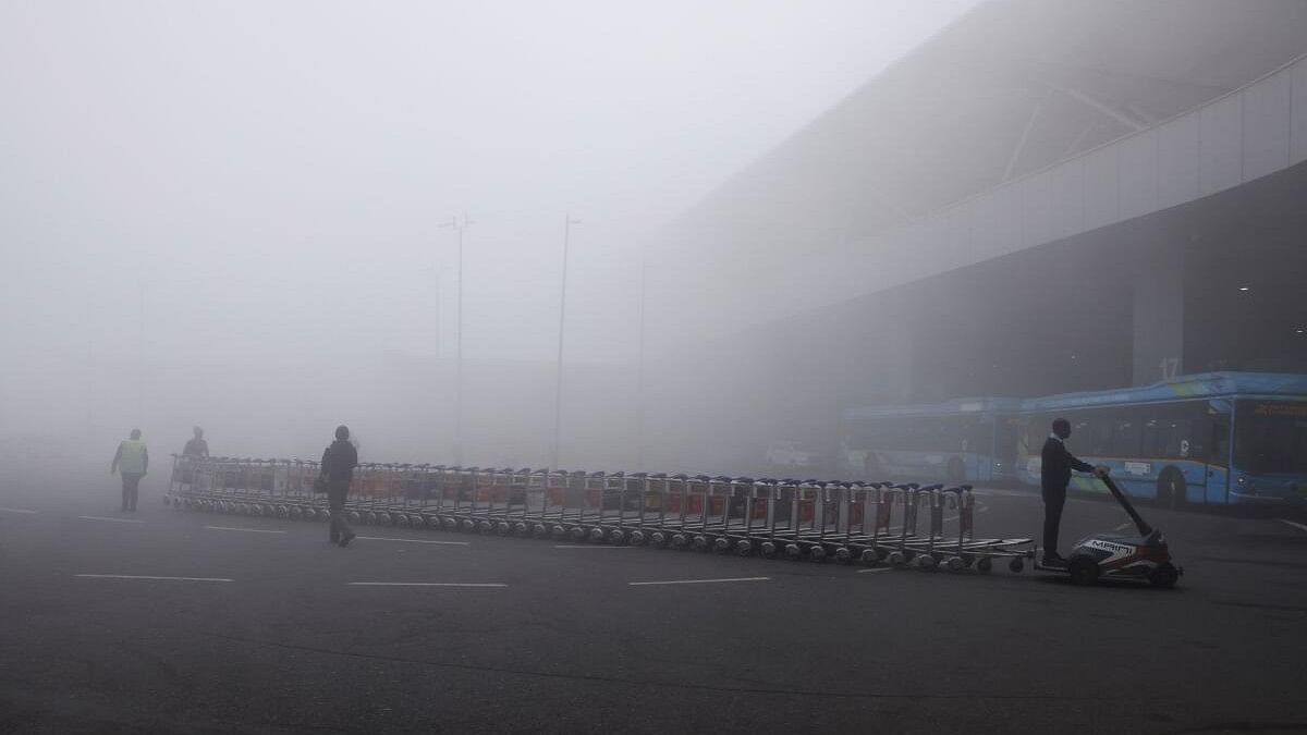 <div class="paragraphs"><p>A man wheels the trolleys to the arrival section amidst heavy fog at the Indira Gandhi International Airport in New Delhi.</p></div>