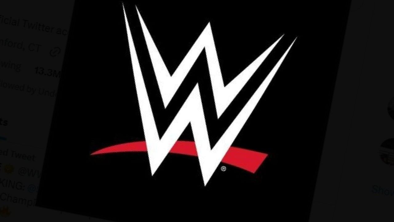 <div class="paragraphs"><p>The WWE logo. </p></div>